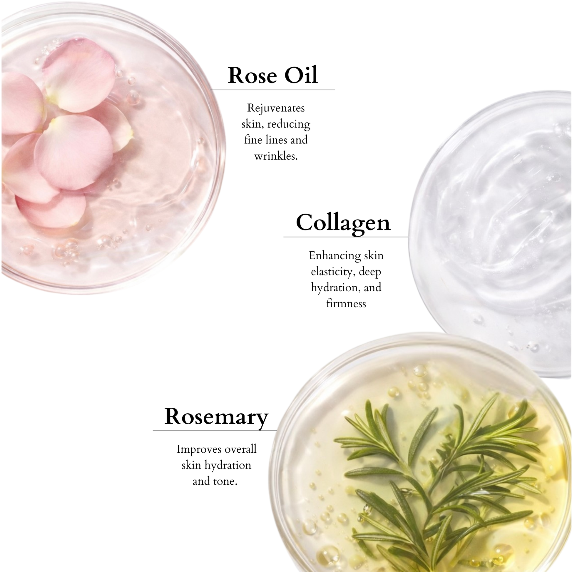 Cosmetic products with rose oil, collagen, and rosemary labeled on a white background